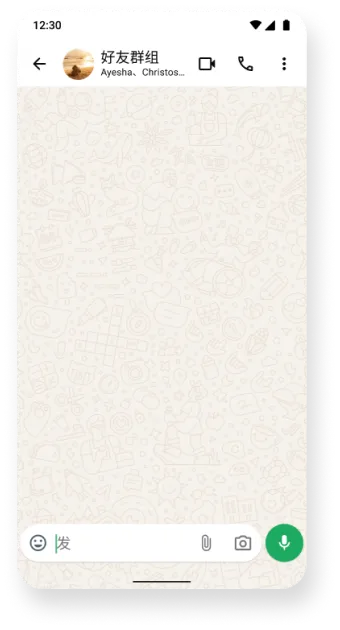 自命名为好友群组的 WhatsApp 群组截图